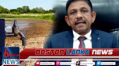 News Iamges.00_00_00_15.Still1999