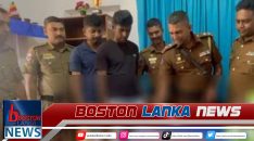 News Iamges.00_00_00_15.Still2004