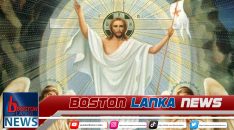 News Iamges.00_00_00_05.Still2110