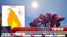 News Iamges.00_00_00_05.Still2145