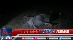 News Iamges.00_00_00_05.Still2191