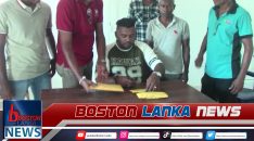 News Iamges.00_00_00_05.Still2219