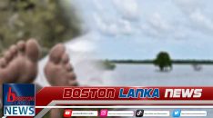 News Iamges.00_00_00_05.Still2227