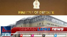 News Iamges.00_00_00_05.Still2284