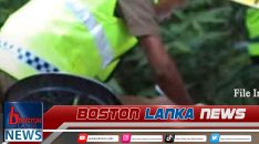 News Iamges.00_00_00_16.Still3033